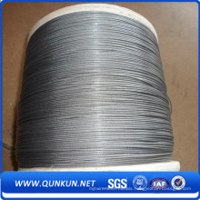 Double Twist Annealed Iron Wire in Bwg18